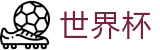 2026国际足联世界杯-实时比分与赛事数据中心